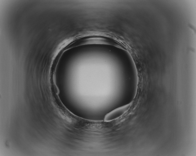 X0000098200104200804241302