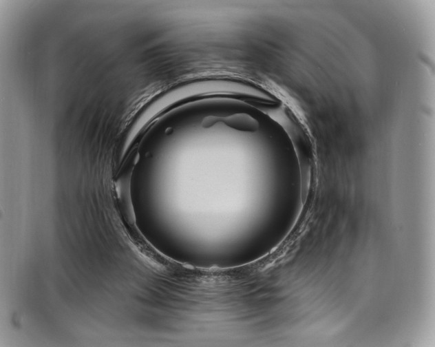 X0000098200105200804241302