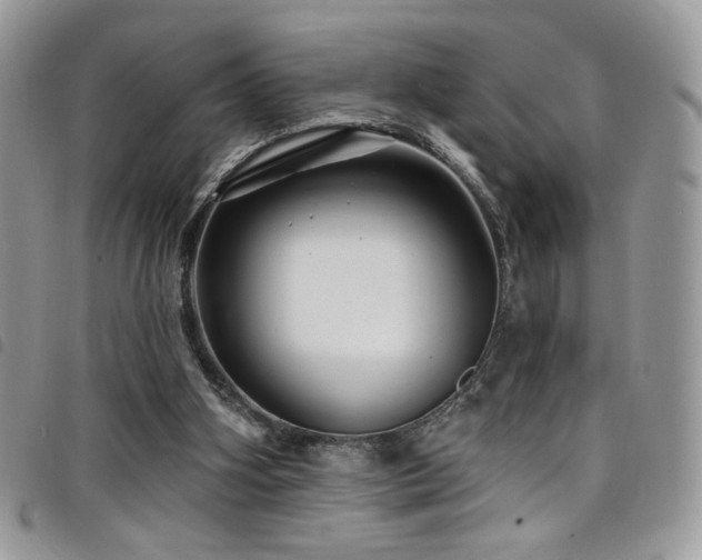 X0000098200106200804241302