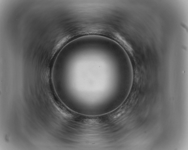 X0000098200107200804241302