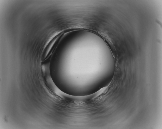 X0000098200108200804241302