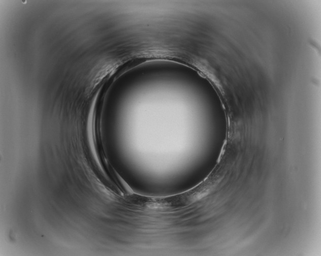 X0000098200109200804241302