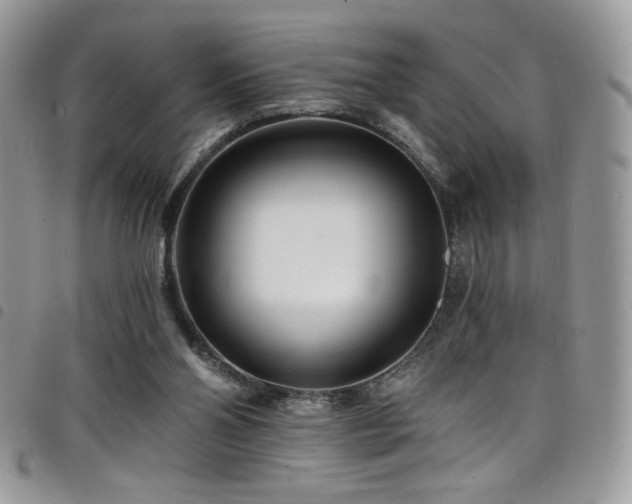 X0000098200110200804241302
