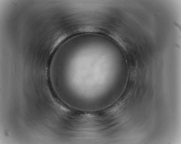 X0000098200111200804241302