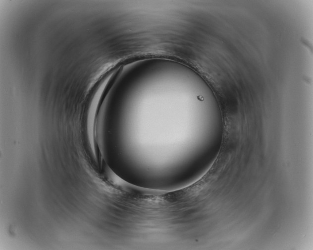 X0000098200112200804241302