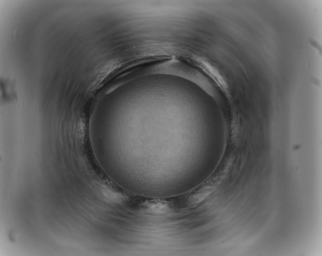X0000098200113200804241302