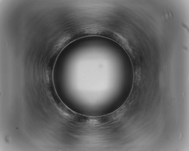 X0000098200114200804241302