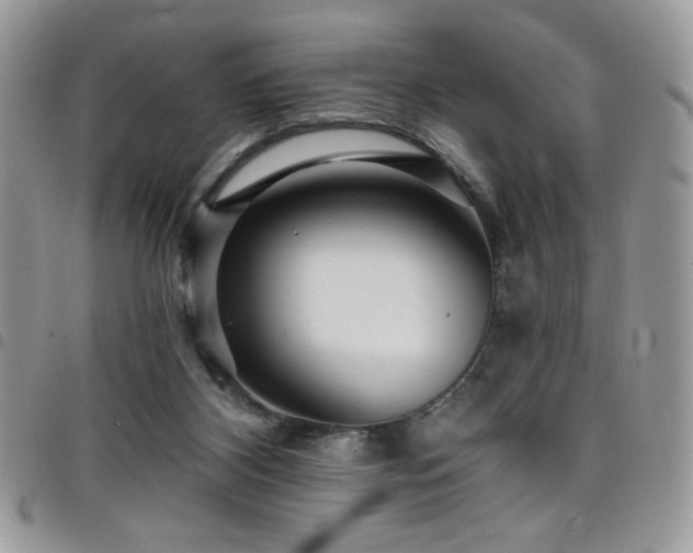 X0000098200116200804241302