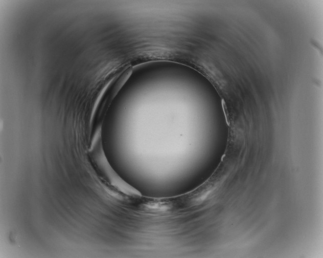 X0000098200117200804241302