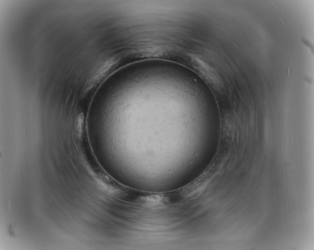 X0000098200118200804241302