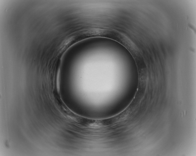 X0000098200119200804241302