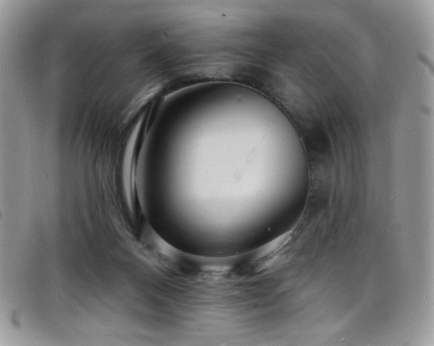 X0000098200120200804241302