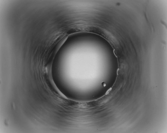 X0000098200121200804241302