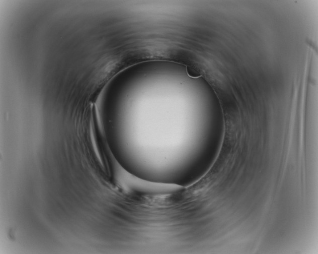 X0000098200123200804241302