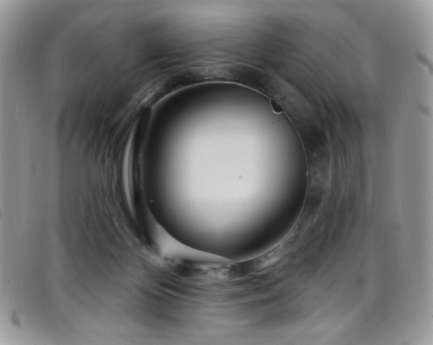 X0000098200124200804241302