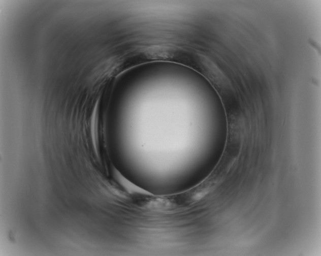 X0000098200125200804241302