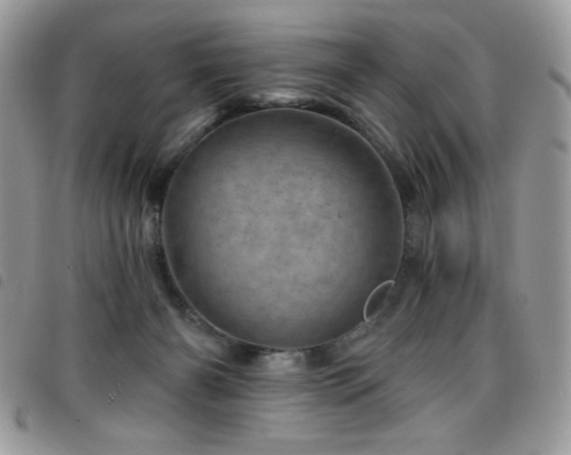X0000098200126200804241302