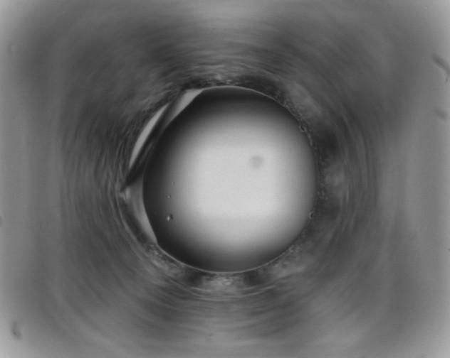 X0000098200129200804241302
