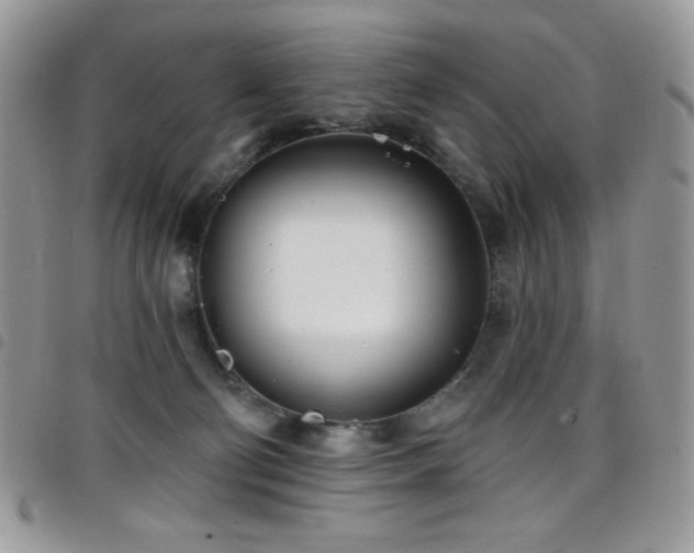 X0000098200130200804241302