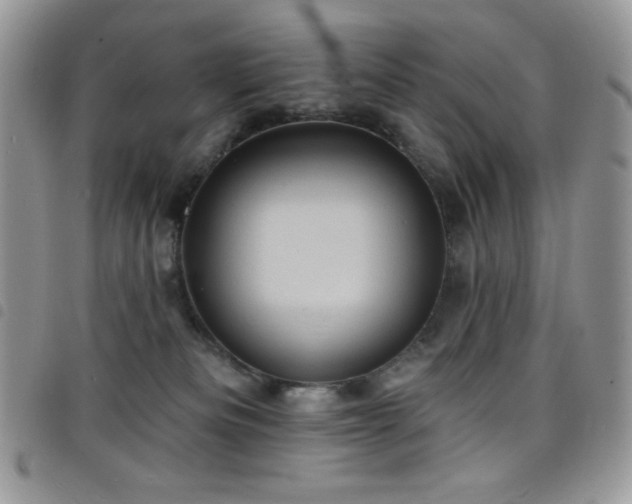 X0000098200133200804241302