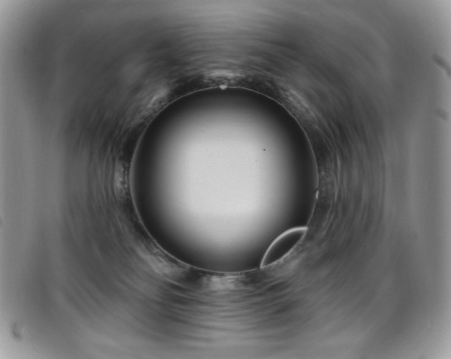 X0000098200134200804241302