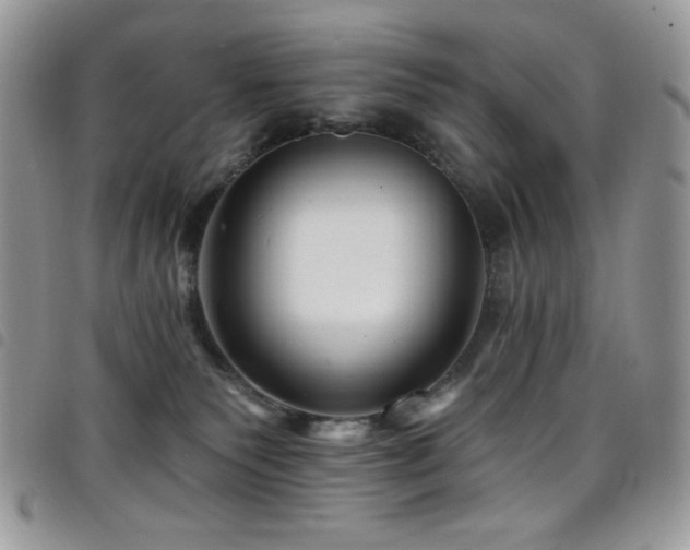 X0000098200135200804241302