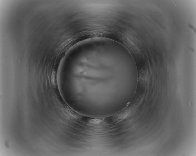 X0000098200139200804241302