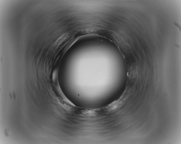 X0000098200140200804241302