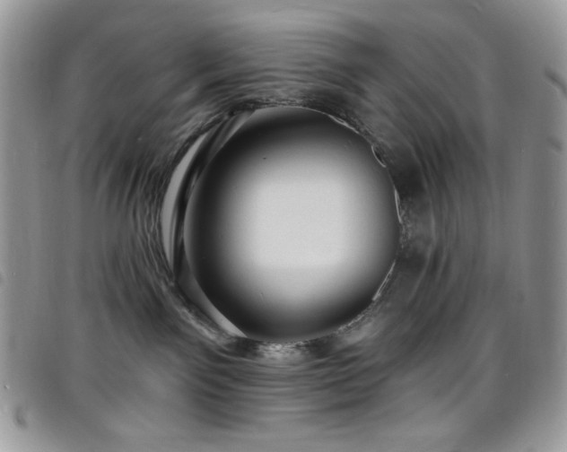 X0000098200141200804241302