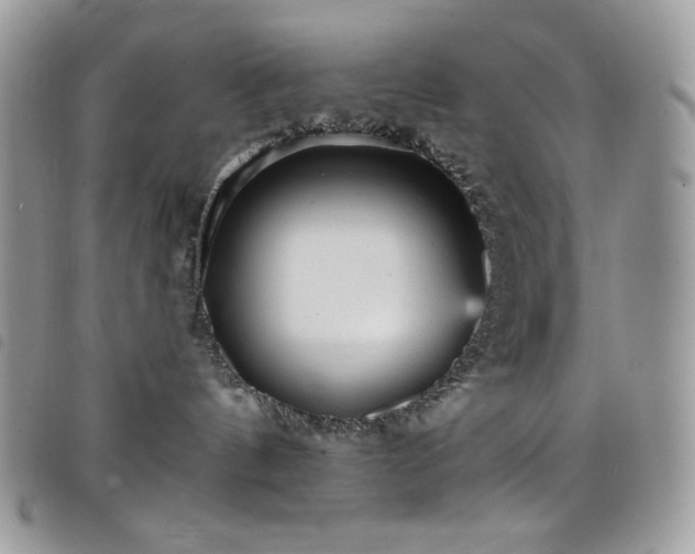 X0000098200144200804241302