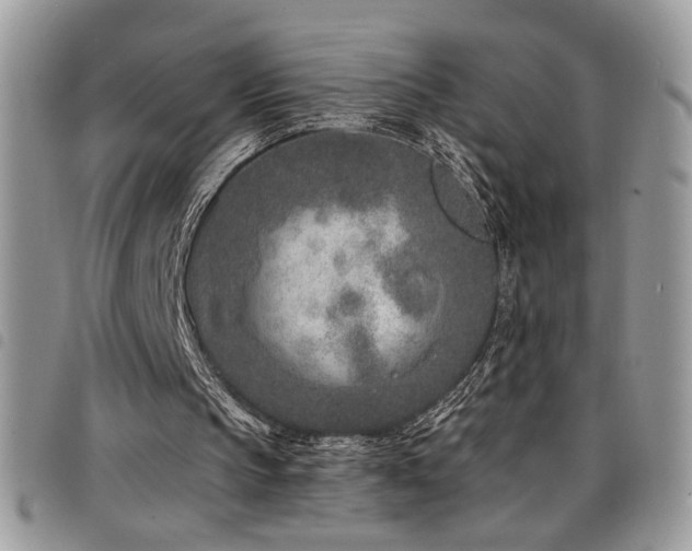 X0000098200145200804241301