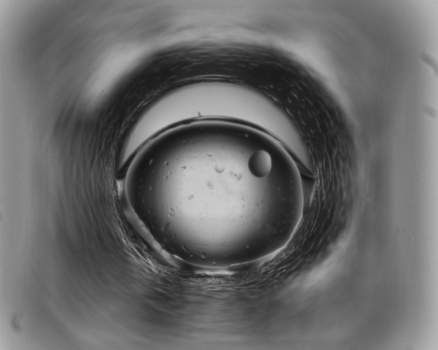 X0000098200146200804241301