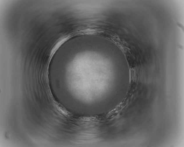 X0000098200147200804241301