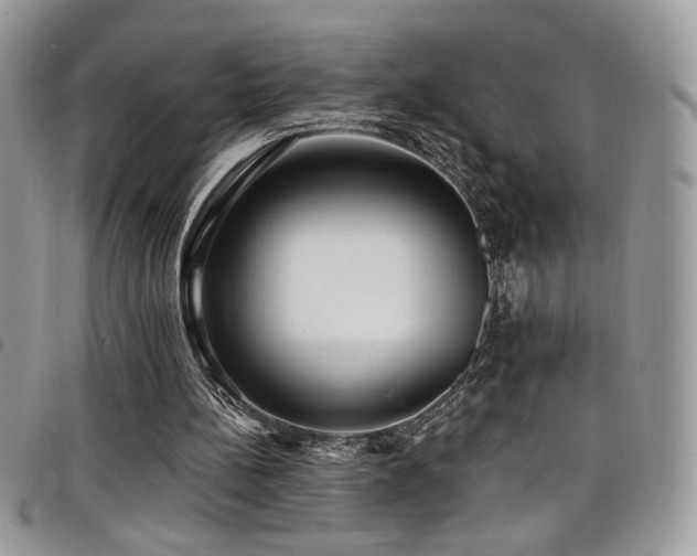 X0000098200148200804241301