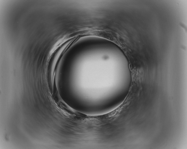 X0000098200150200804241301