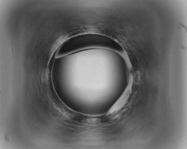 X0000098200152200804241301