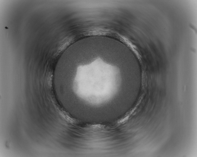 X0000098200153200804241301