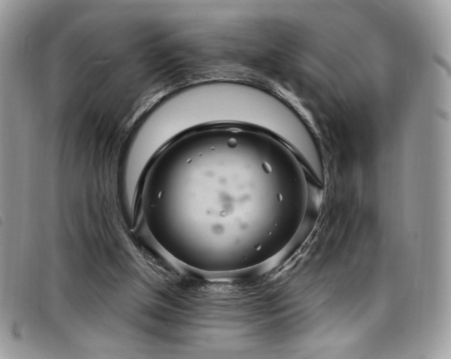X0000098200154200804241301