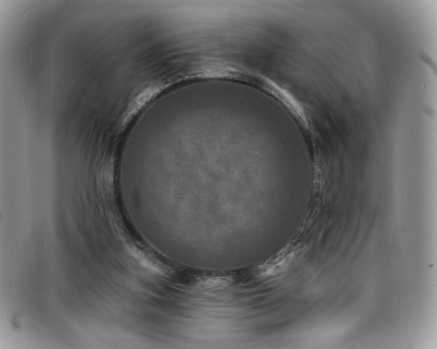 X0000098200155200804241301