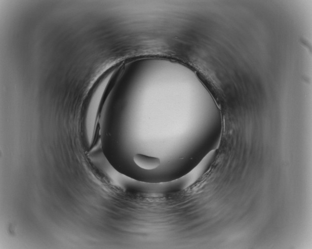 X0000098200156200804241301