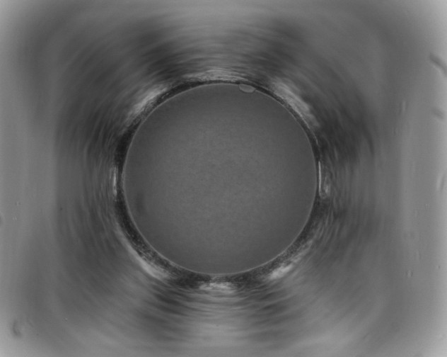 X0000098200157200804241301