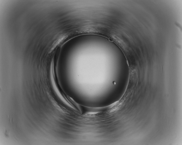 X0000098200158200804241301