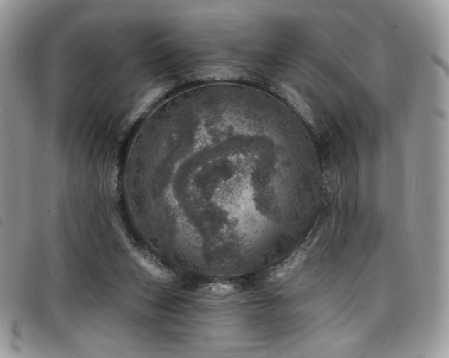 X0000098200159200804241301