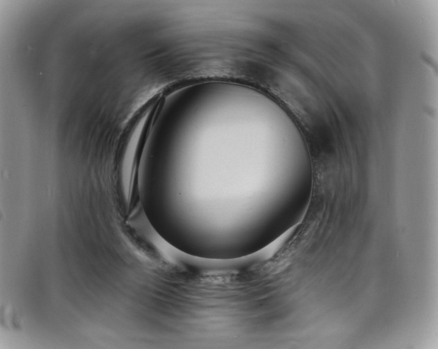 X0000098200160200804241301