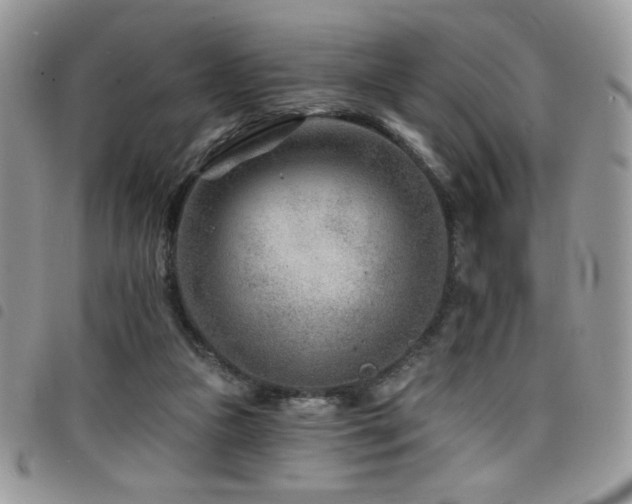 X0000098200161200804241301