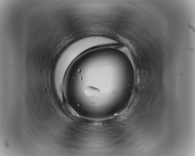 X0000098200162200804241301