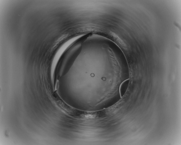 X0000098200163200804241301