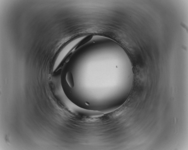X0000098200164200804241301