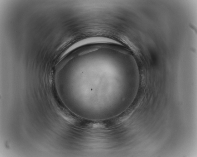 X0000098200165200804241301