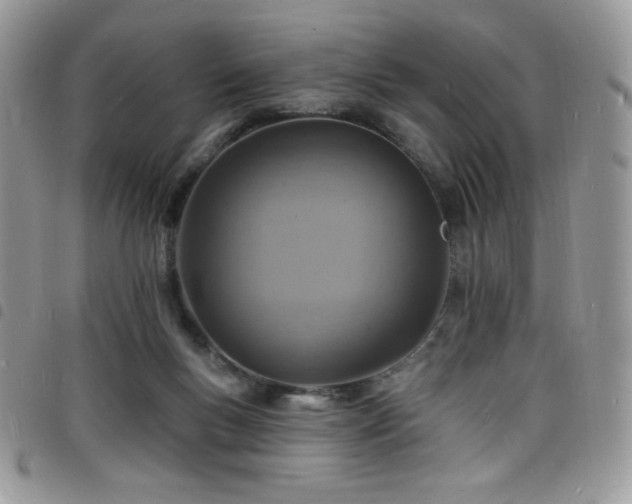 X0000098200167200804241301